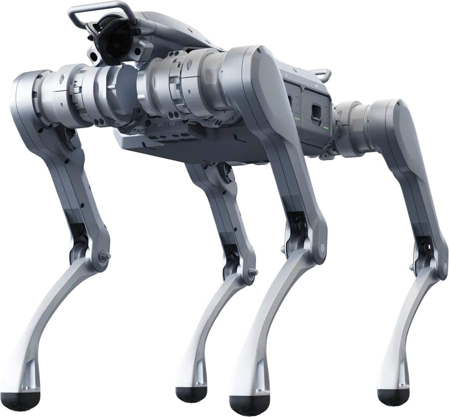 Quadruped Robots